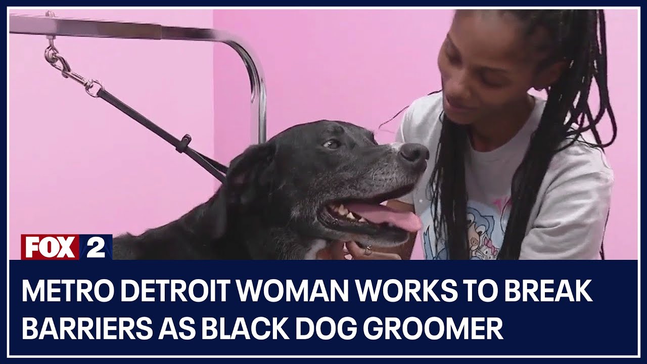 Metro Detroit woman works to break barriers as Black dog groomer