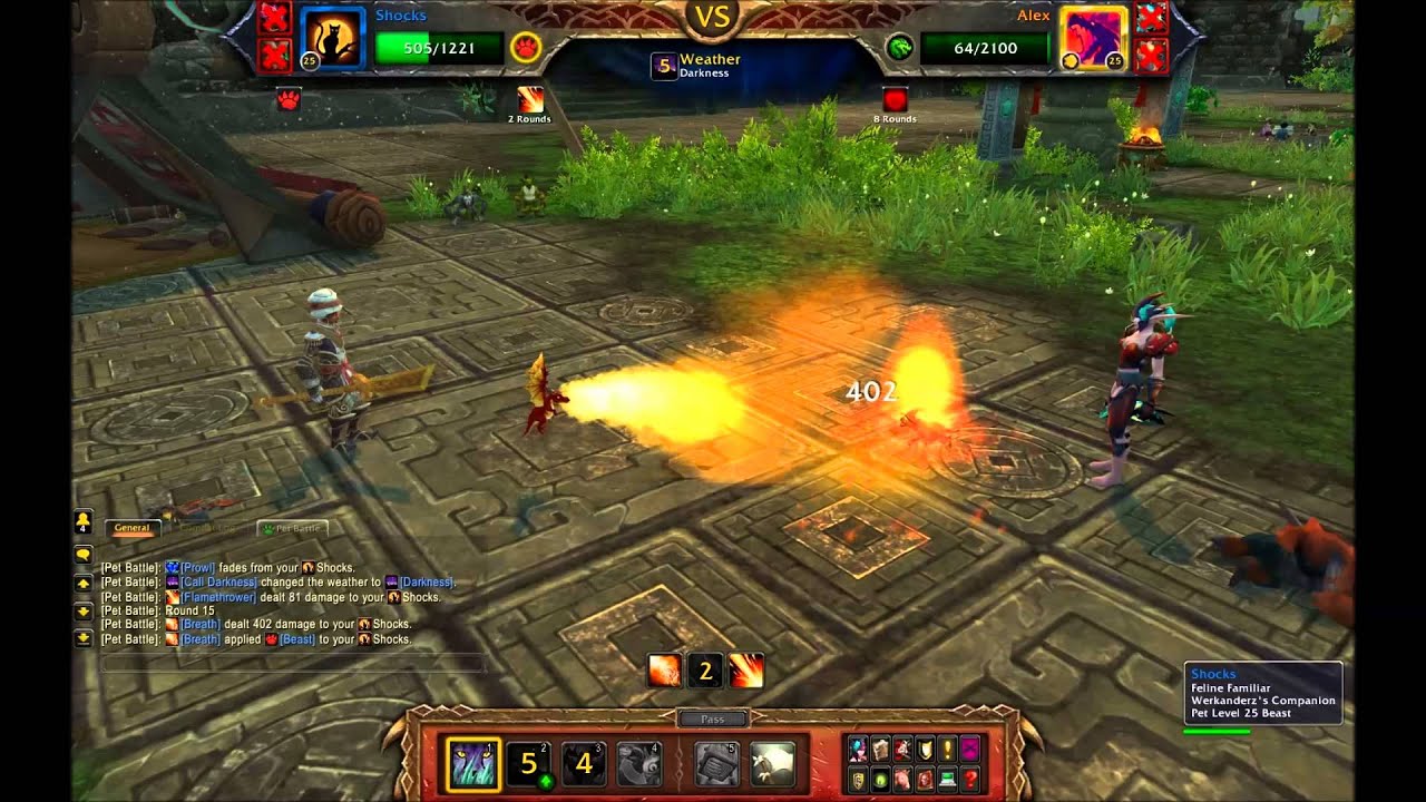 How to beat the Celestial Tournament and get your own Celestial pet.