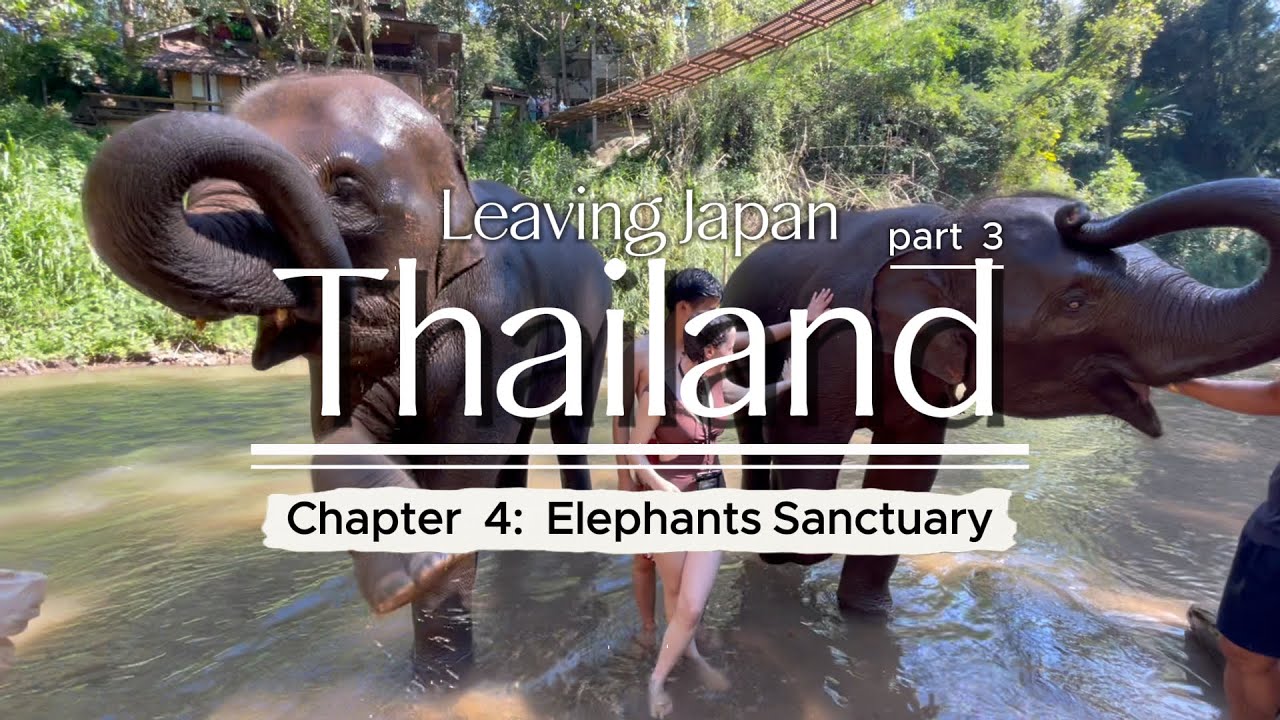 Elephants Sanctuary  -  Honeymoon Part 3: Thailand, Chapter 4