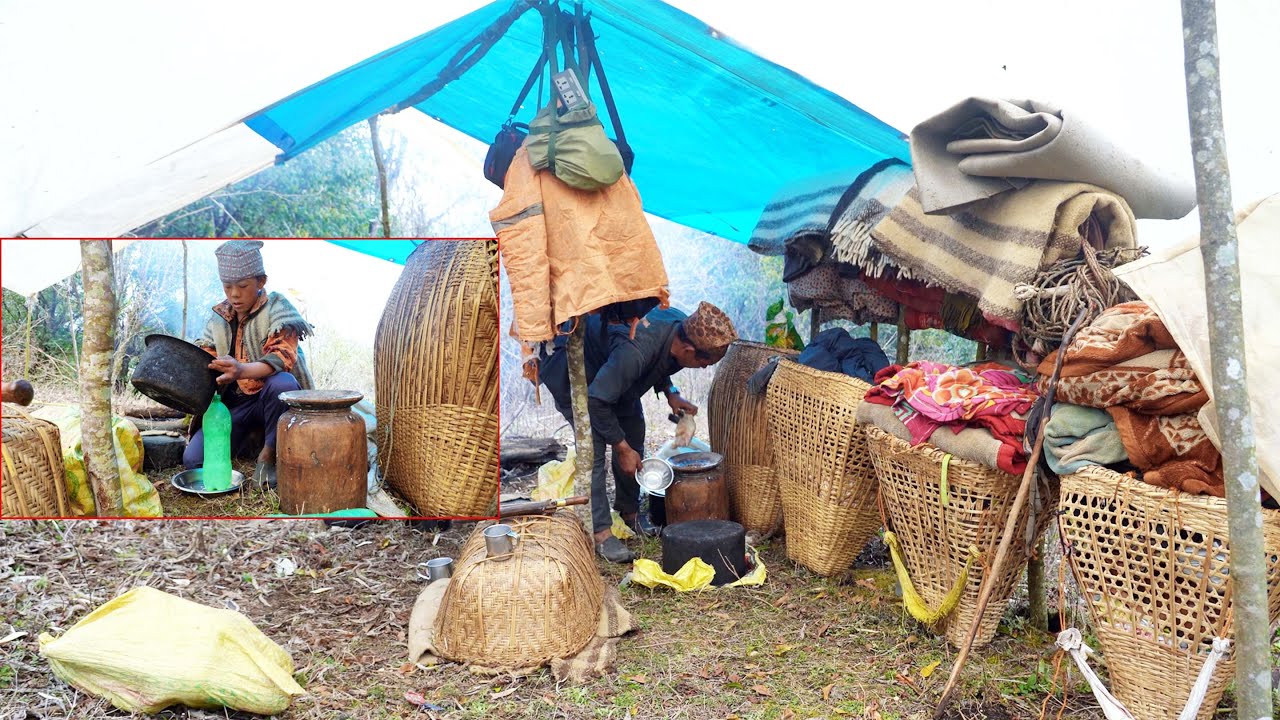 shepherd life of Nepal || life in rural Nepal || Himalayan life of Nepal @shepherdlifeofnepal