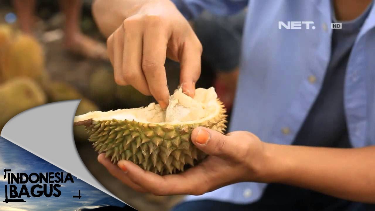 Indonesia Bagus - Pagaralam Palembang Sumatra Selatan
