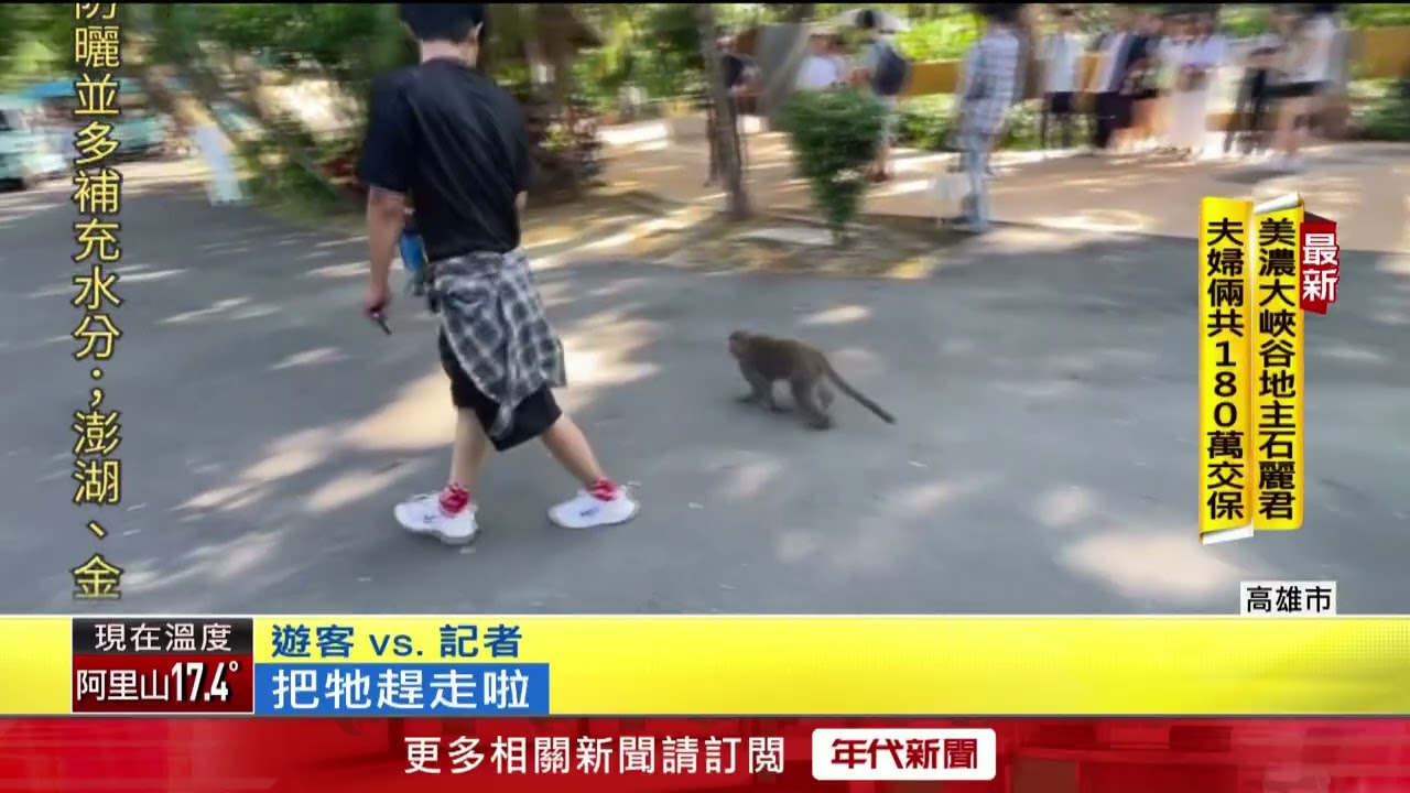 半小時搶4次！ 壽山動物園獼猴進化　伸手翻包搶童午餐