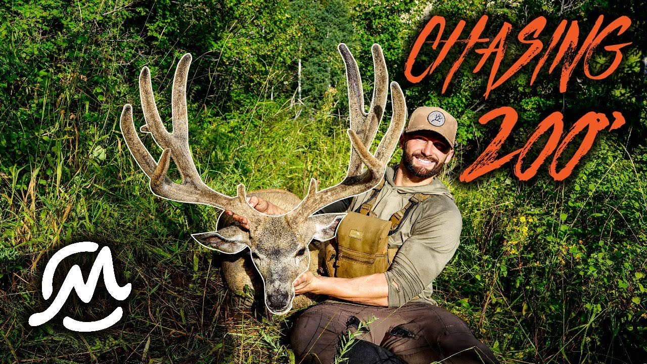 CHASING 200