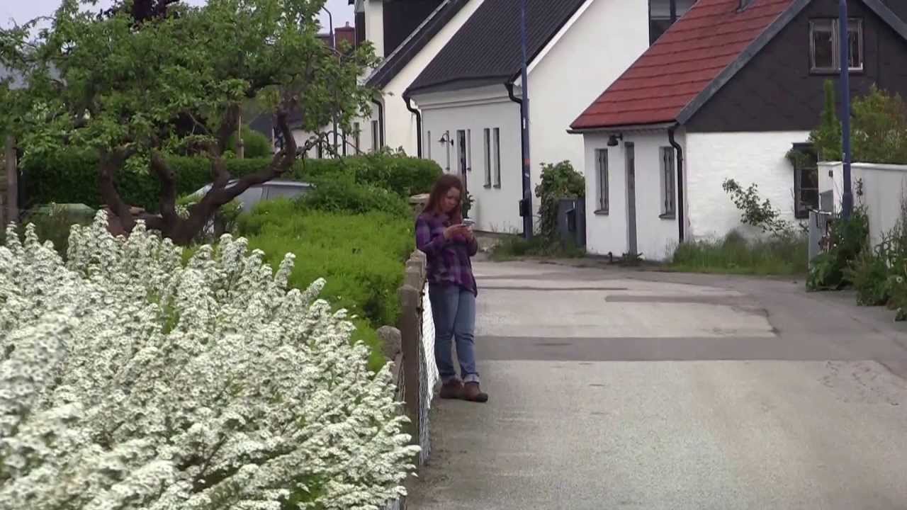 Brantevik, Österlen, juni 2013.