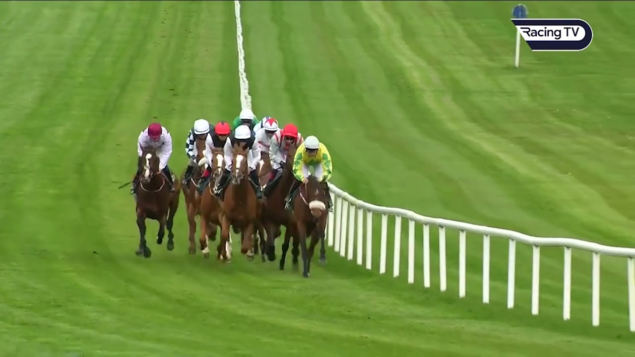 Kyprios Wind the 2022 Vintage Crop Stakes
