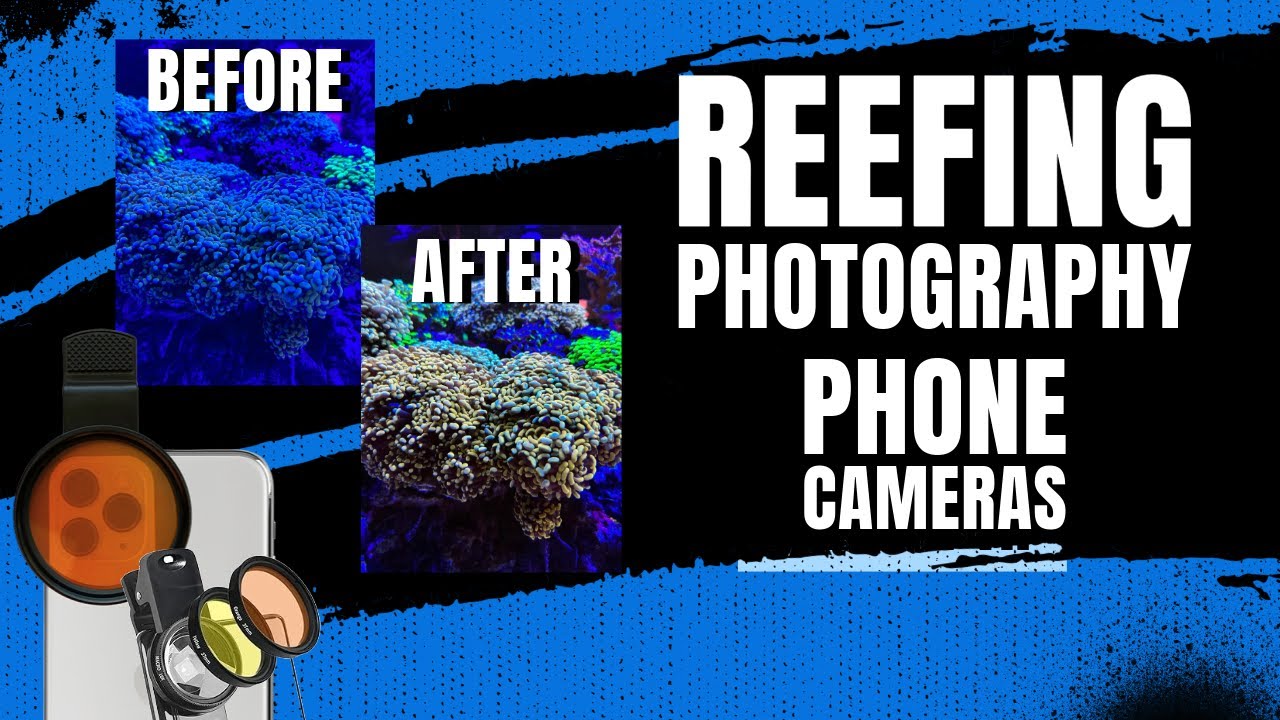 Reef Aquarium Photography and Videography - Part 1: Phone Cameras