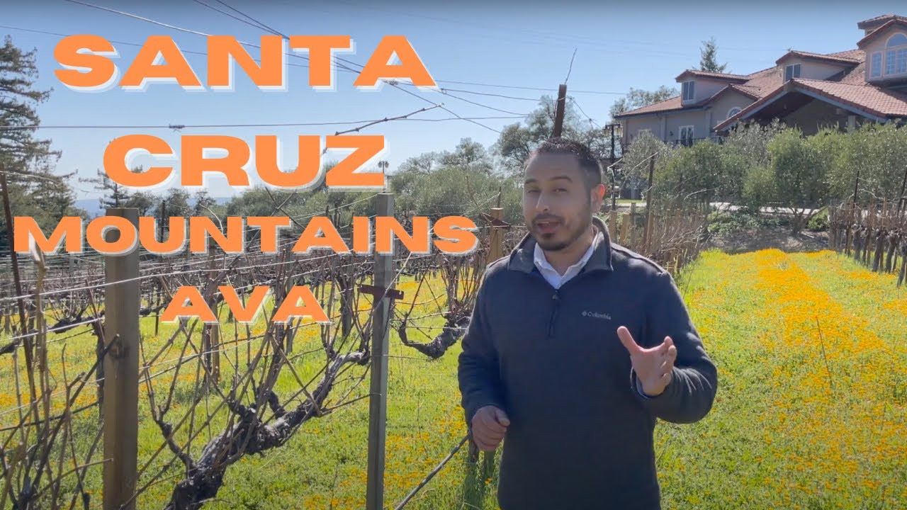 SANTA CRUZ MOUNTAINS AVA | What Makes It So Extraordinary??