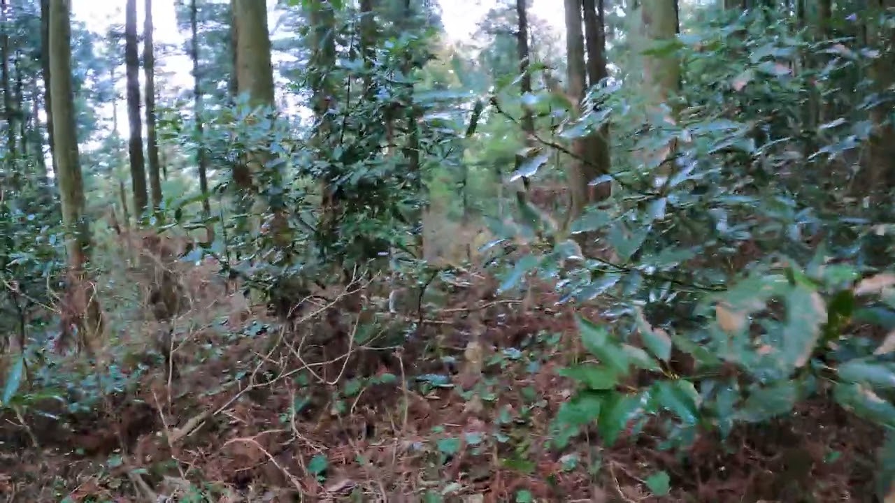 牛の峰　頂上の風景