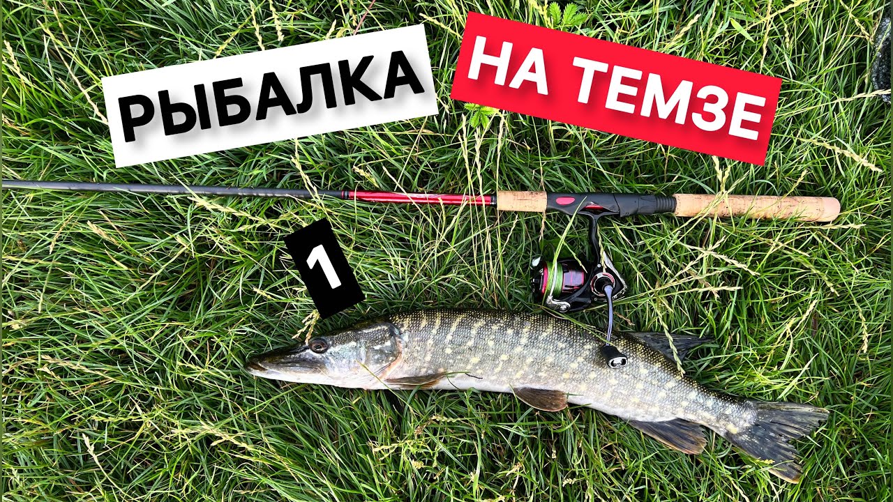 Рыбалка на спиннинг в Лондоне на Темзе