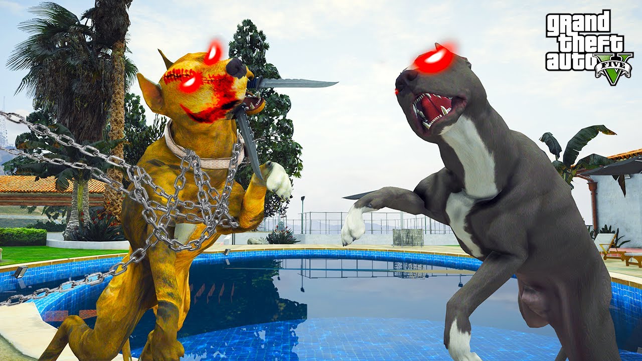 ÖLÜMSÜZLERİN DÜELLOSU! SARI HORTLAK VS TERMİNATÖR! - GTA 5 PİTBULL'UN HAYATI