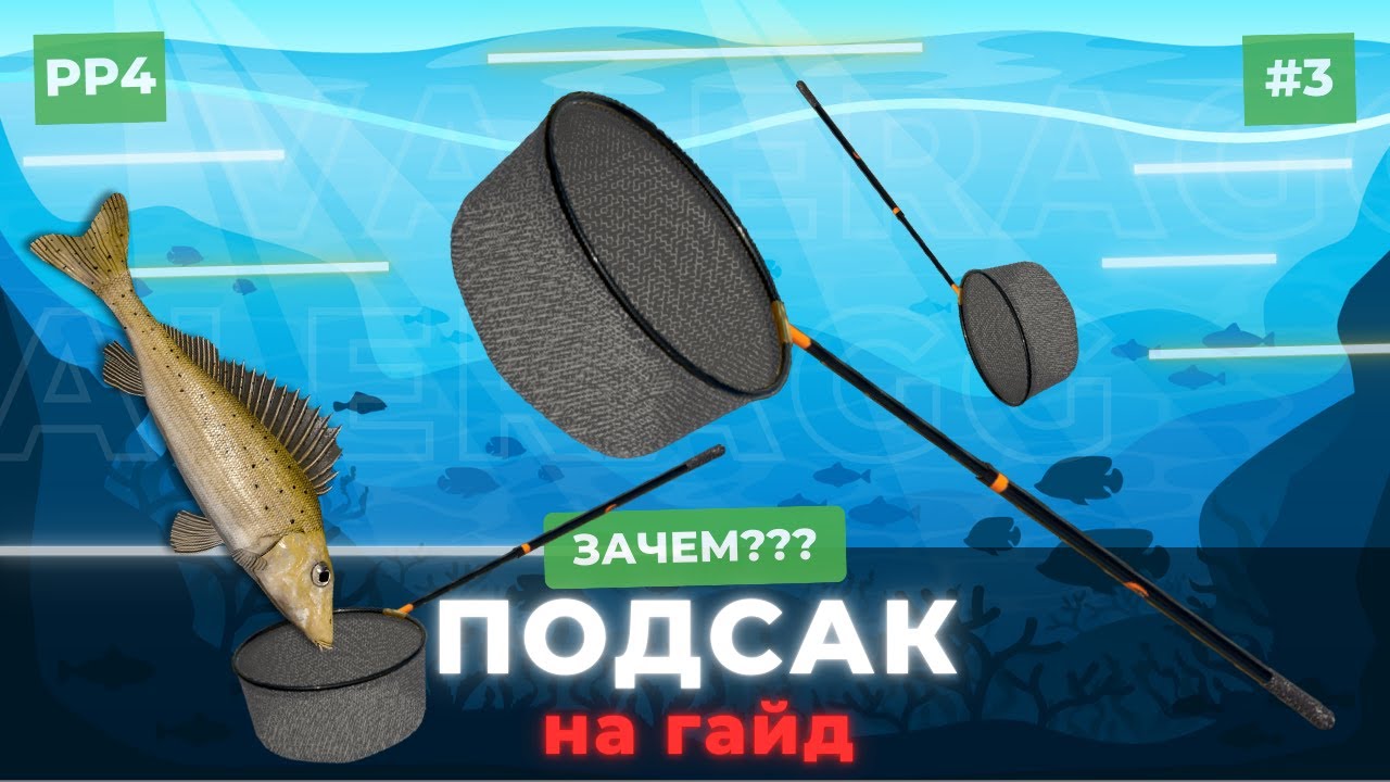 РР4 Гайд для новичков - Зачем нужен подсак? - Русская Рыбалка 4