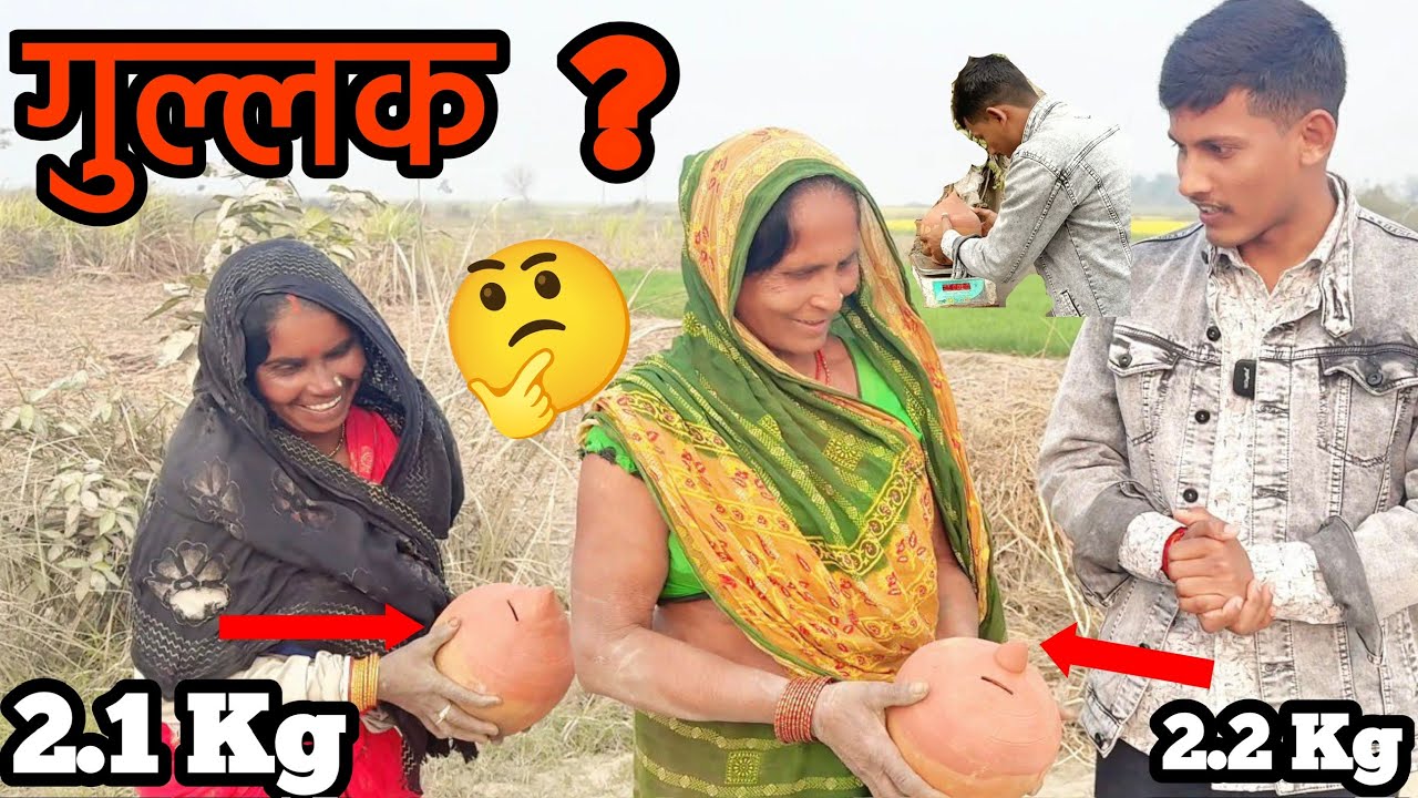 2 जादुई गुलक से कितना पैसा ? 🤑😱| आइए दादी जी लोग का लक देखें #MrAkash #help #game #challenge #viral