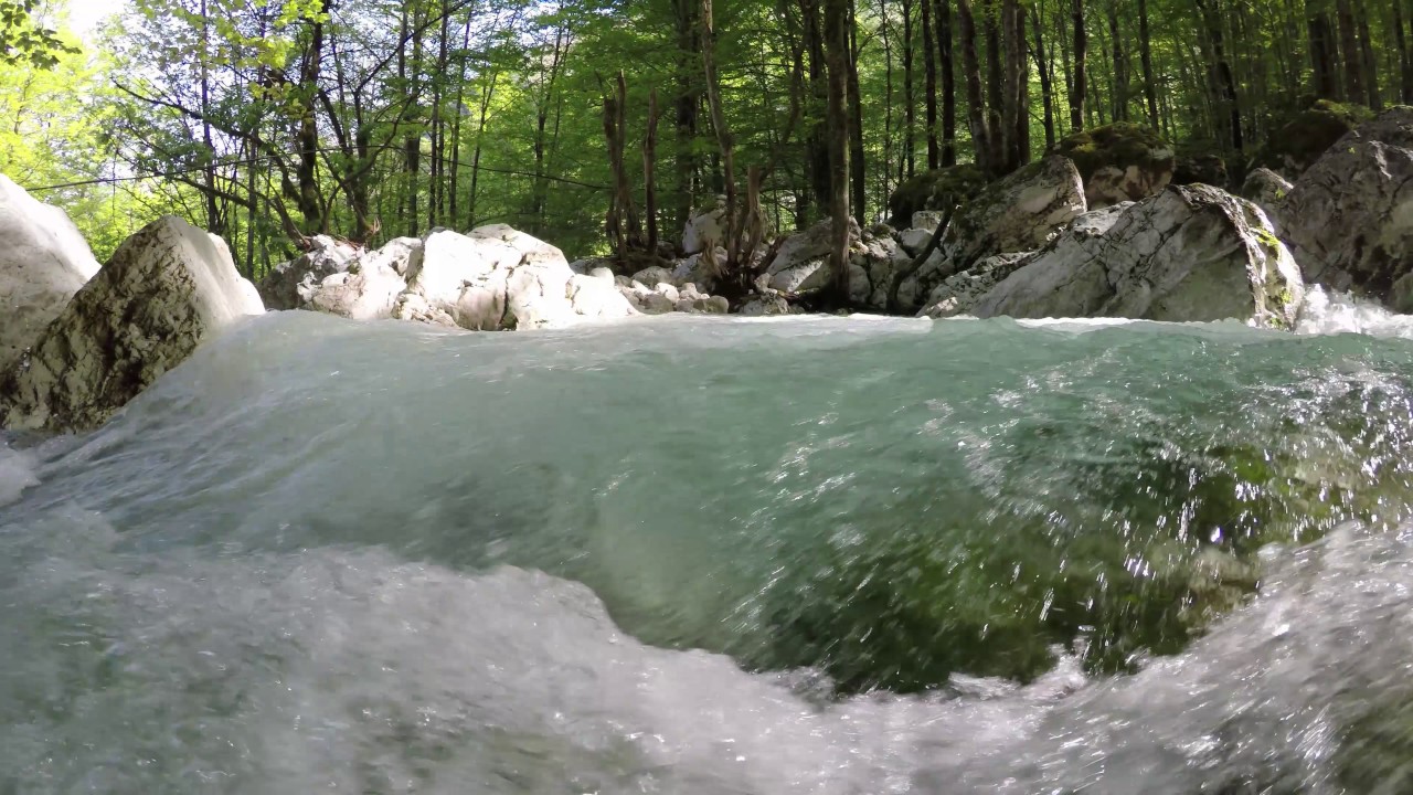 Šunikov vodni gaj / The water hurst of Sunik | 1.5.2017