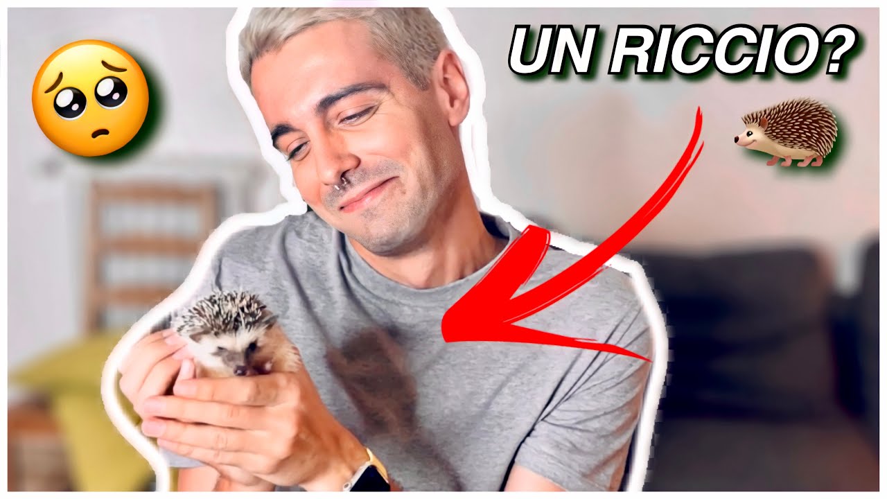 VLOG: HO FATTO UNA PAZZIA: IL MIO PRIMO (insolito) ANIMALE DOMESTICO! 🦔