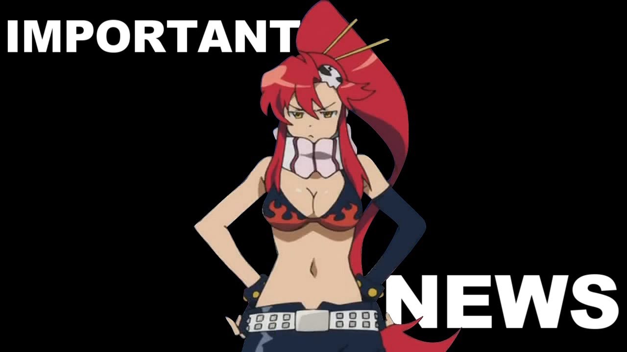 IMPORTANT NEWS!!! (ancsagirl95 on DailyMotion)