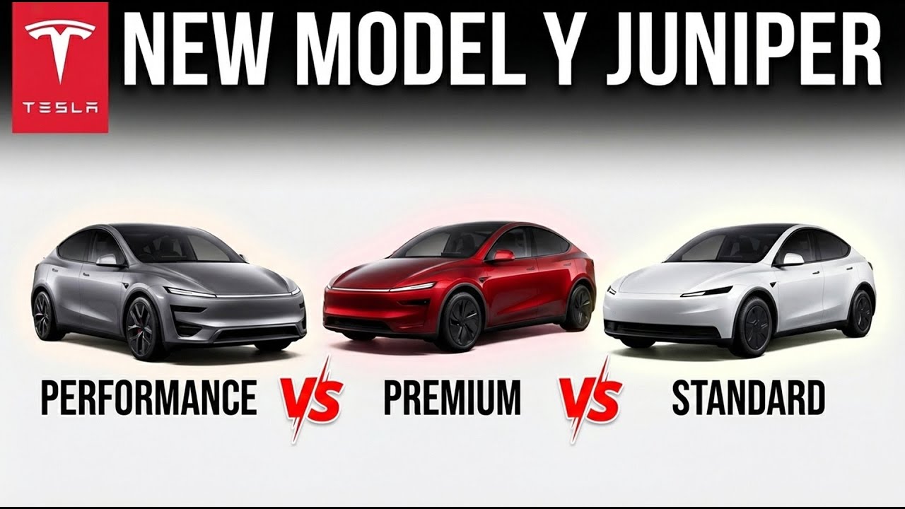 Which Model Y Juniper Trim Should You Buy? Performance Premium and Standard Compared