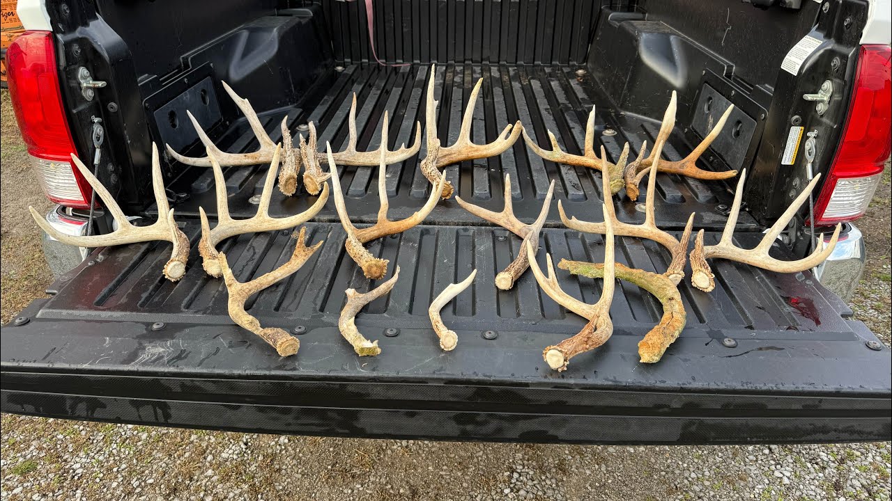 16 Sheds in One Day! Best Day We’ve Ever Had! 2025. 
