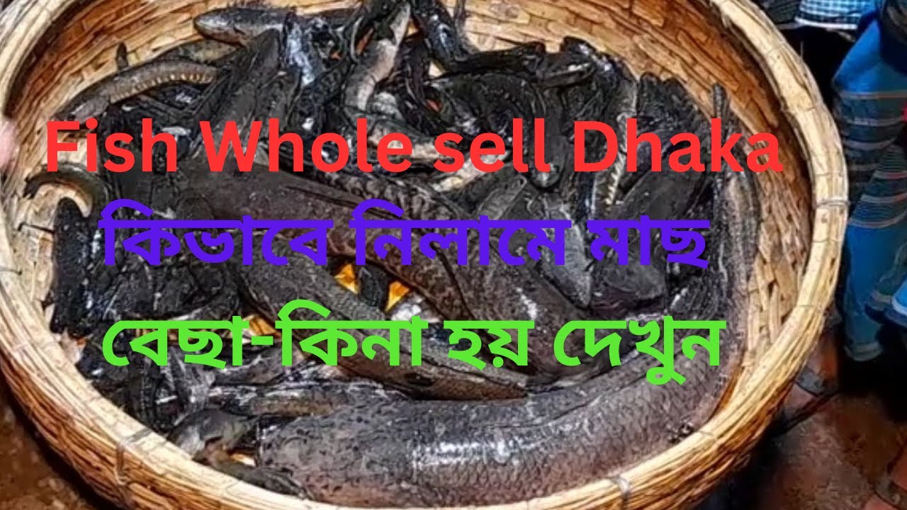 Fish Whole sell Dhaka I Fish Aroth Atibazar Bangladesh I