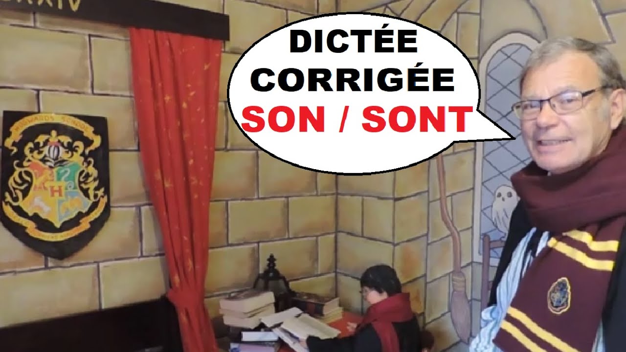 Dictée autonome corrigée : Différence entre son et sont #4