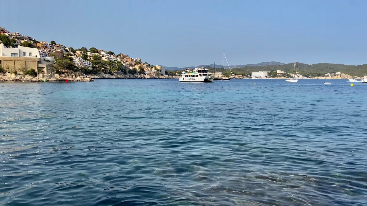 Cala Fornells 🩵 Mallorca 🇪🇸 Paguera 🩵 Rundgang & Anfahrt 😎 schöne Bucht 🏖 nice Place 🌴 top