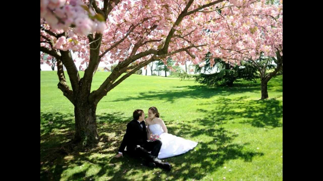 Sabhayam thiru sabhayamee njan- Mar Thoma Syrian Church Wedding Hymn