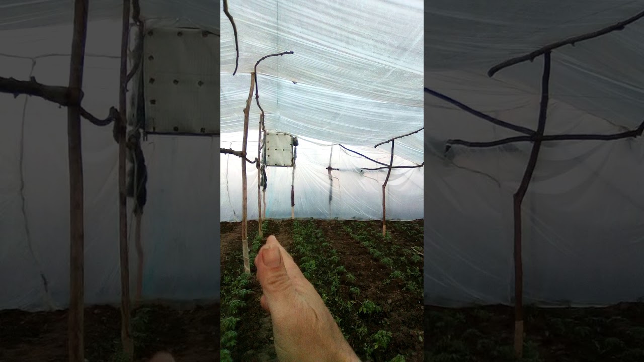 уй шароитида энг арзон оддий иссикхона 1500000 сумга курдим