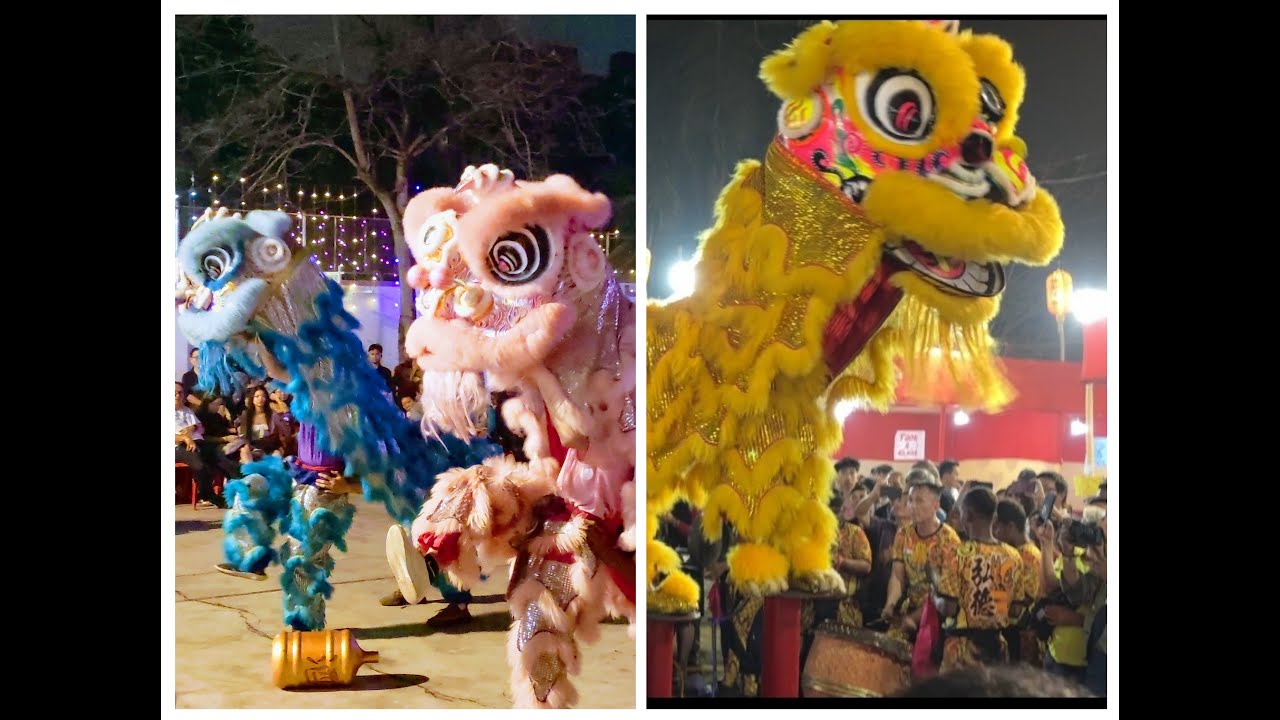 Dragon show | Lion dance show