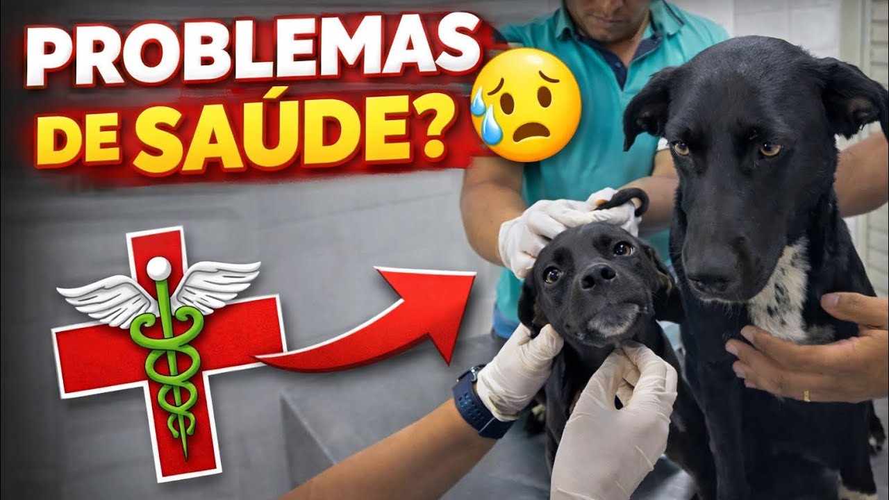 LEVAMOS A MÃE E IRMÃ DO CHUVISCO NO VETERINÁRIO 😱🩺