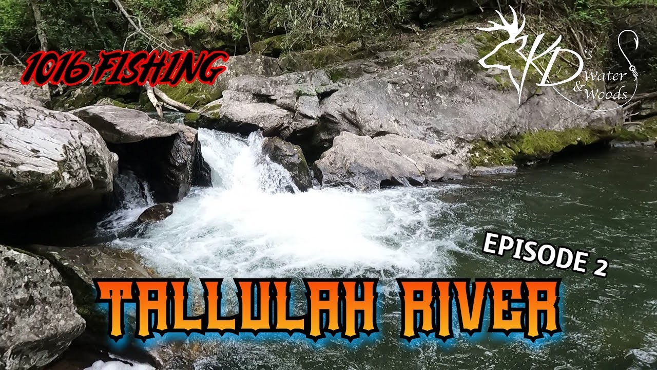 TALLULAH RIVER (Ep2) TROUT FISHING NORTH GEORGIA🎣🎣