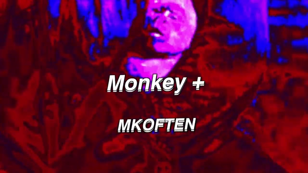 MKOFTEN - Monkey + [Music Visualizer]
