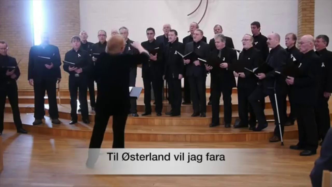 Till Österland vill jag fara - Anders Flöija