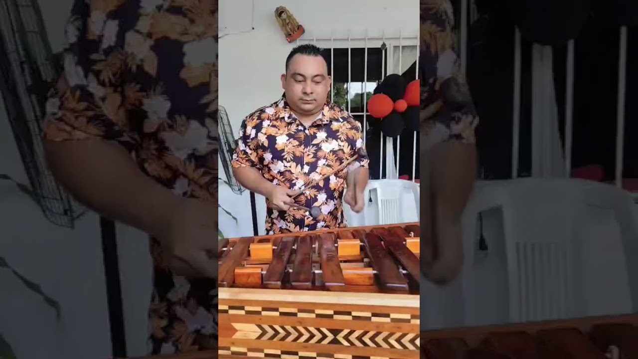 (El Oso polar)🔥🎶                                  Sensacional Marimba Tabscoob 📲 993 230 9978 