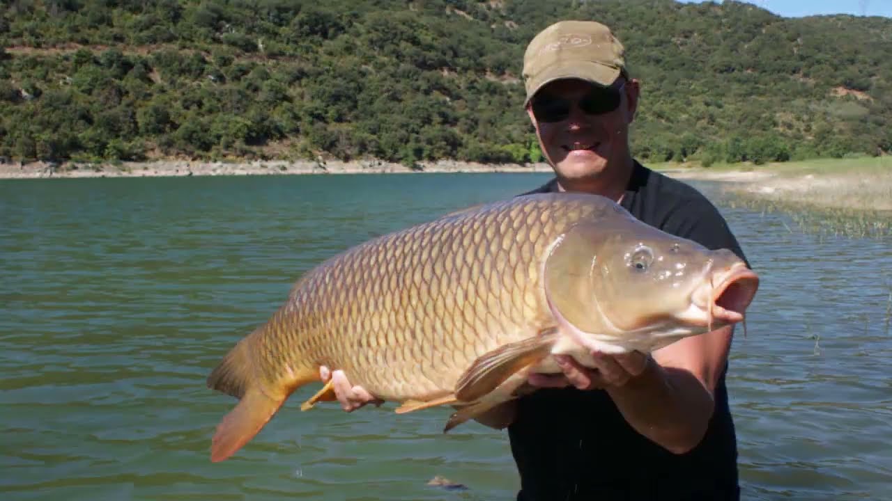 Robs Big wild french Carp fishing Adventure June  2016