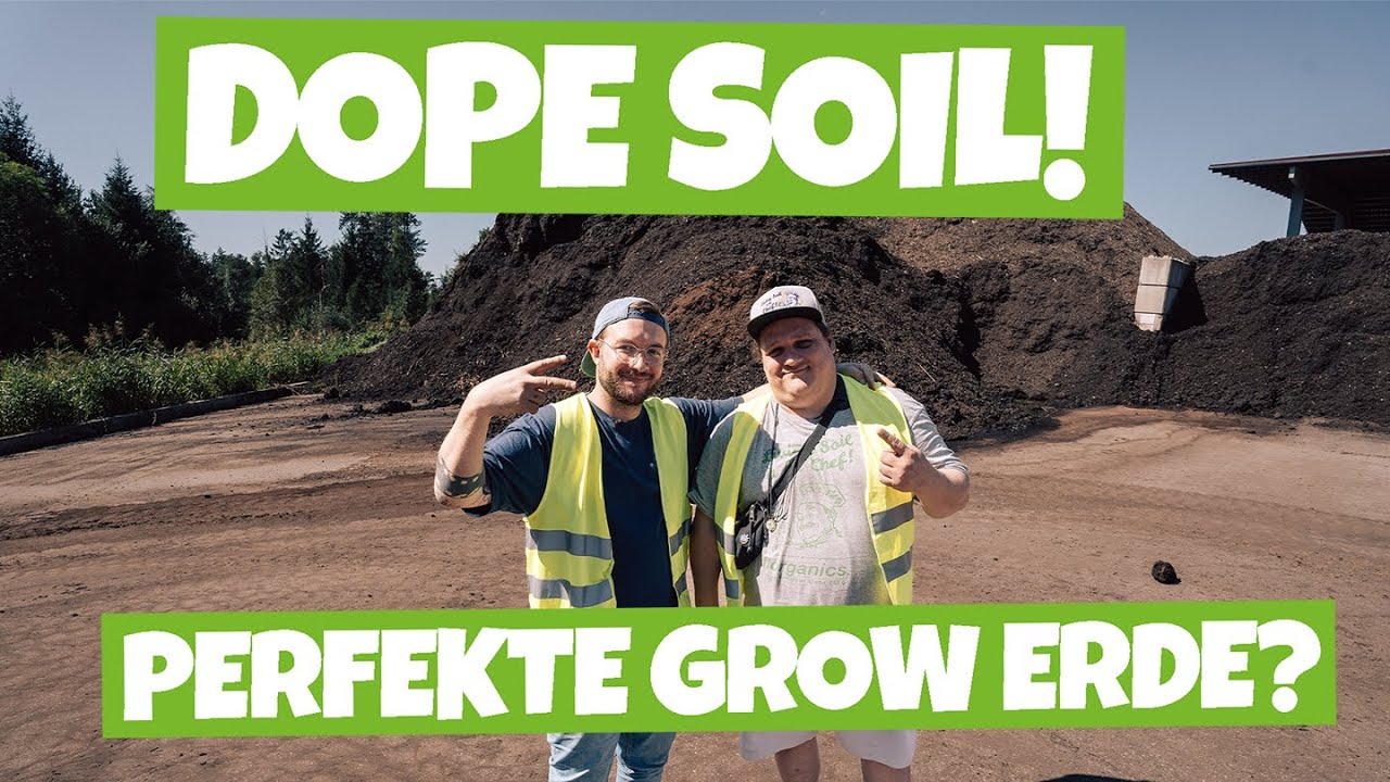 Die Perfekte Grow Erde ? Living Soil 🌱 Dopesoil von Florganics