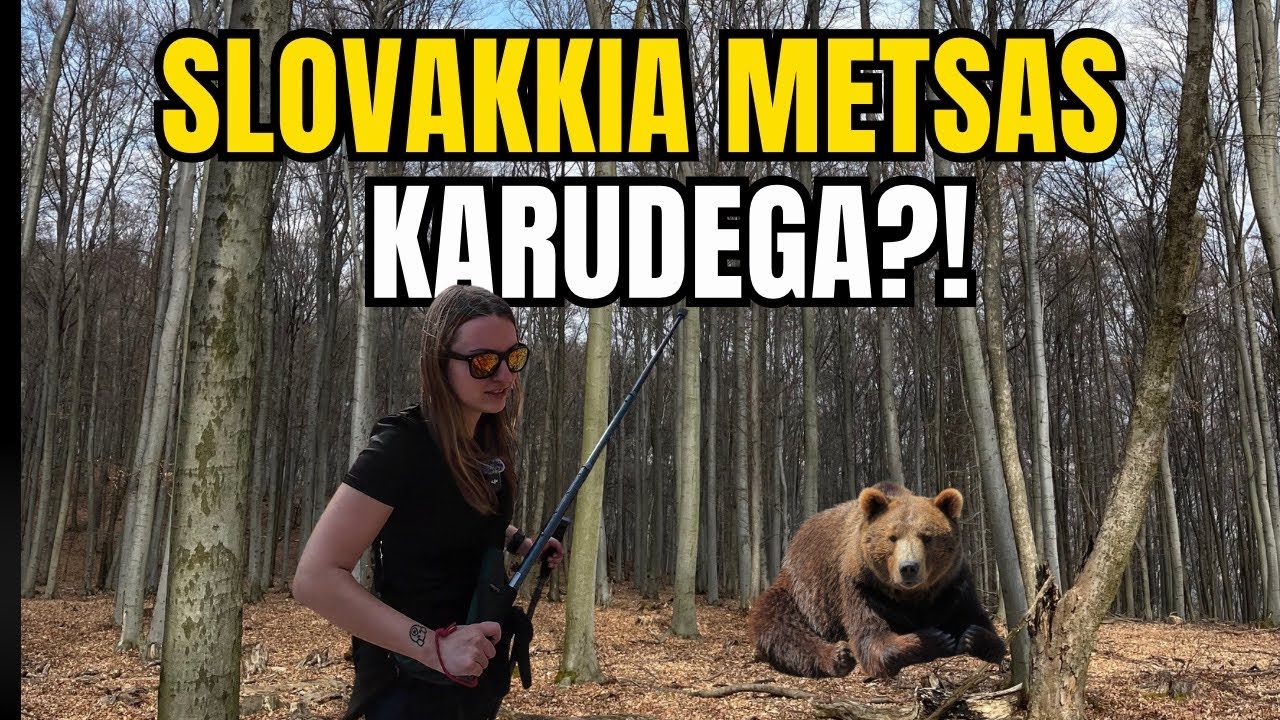 Balkani trip OSA 2 | Slovakkia metsast leidub igasuguseid loomi…