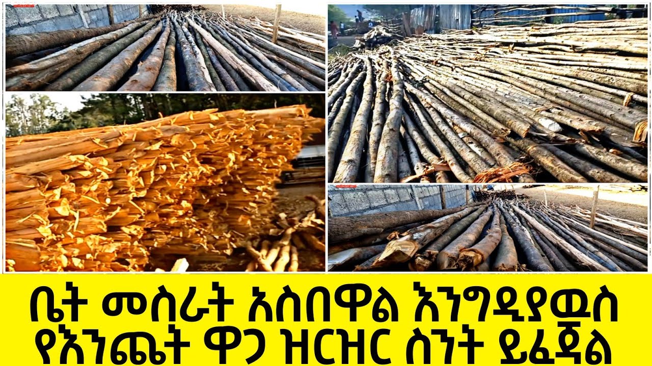 የእንጨት ቤት ለመስራት ስንት ብር ይፈጃል ከ60 እስከ 80 ቆሮቆሮ የእንጨት ዋጋ በዝርዝር ይመልከቱ|nejah media|seadiandalitube|fuade