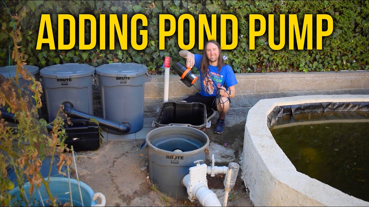DIY Pond Filter Build with New Pond Pump | Part 9