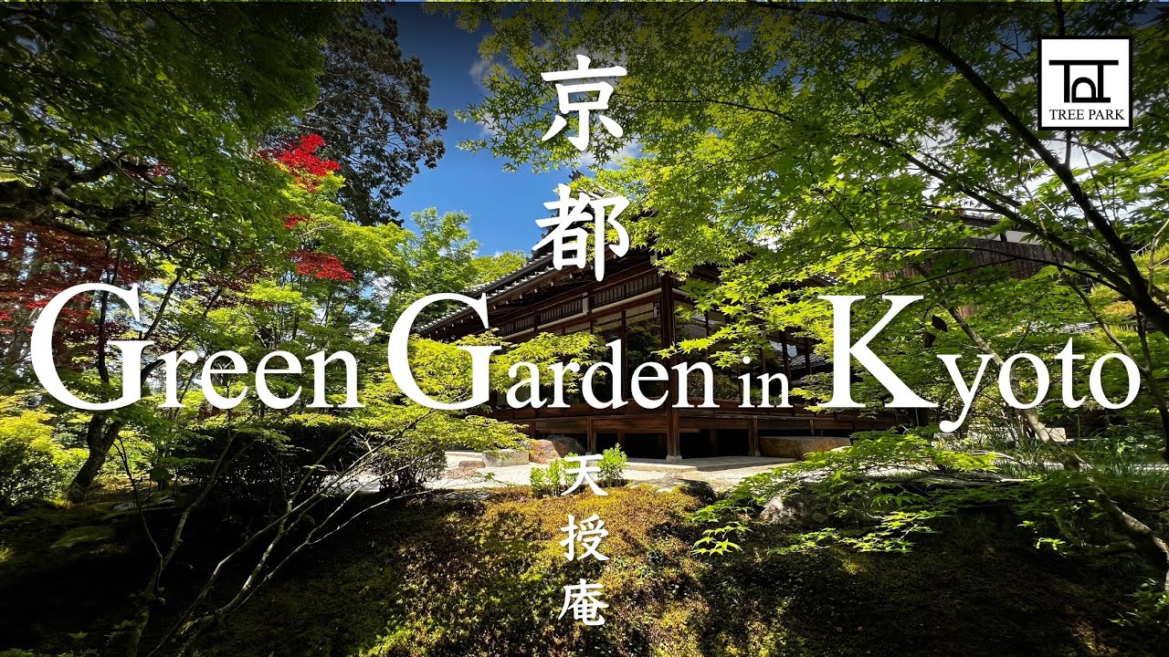 Carefully designed Japanese garden in Kyoto: Tenjuan in Nanzenji Temple  | 京都 南禅寺 天授庵、緑の日本庭園を巡る
