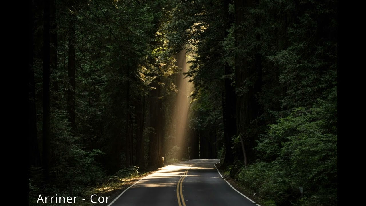 Arriner - Cor