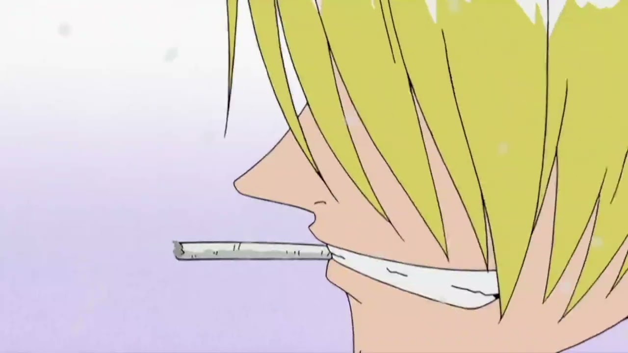 zoro and sanji attacks wapol crew