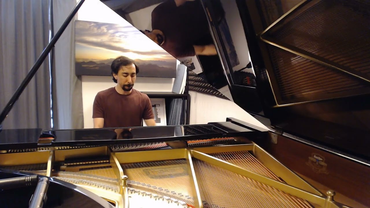 Chopin - Nocturne in C minor, Op. 48 No. 1 - (Edited version. Merging two takes)