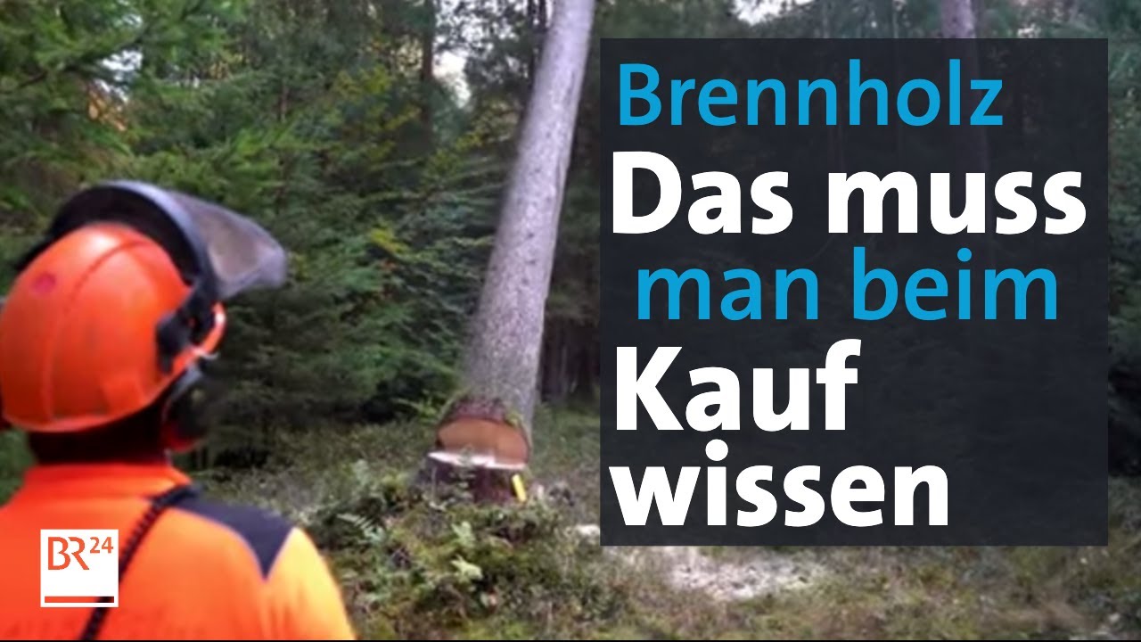 Die Ma&szlig;einheiten beim Brennholzkauf: Festmeter, Ster, Sch&uuml;ttraummeter | Abendschau | BR24