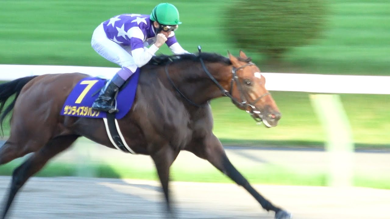 【不来方賞2024】武豊 ガッツポーズで勝利を喜ぶ！ウィニングラン 現地映像 サンライズジパング