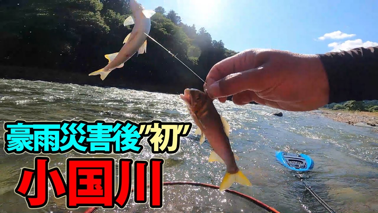 【鮎釣り】豪雨災害で変わってしまった小国川。