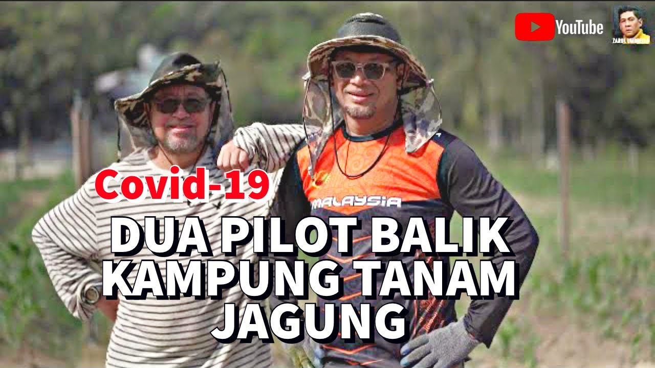 COVID-19, Dua Pilot Balik Kampung Tanam Jagung