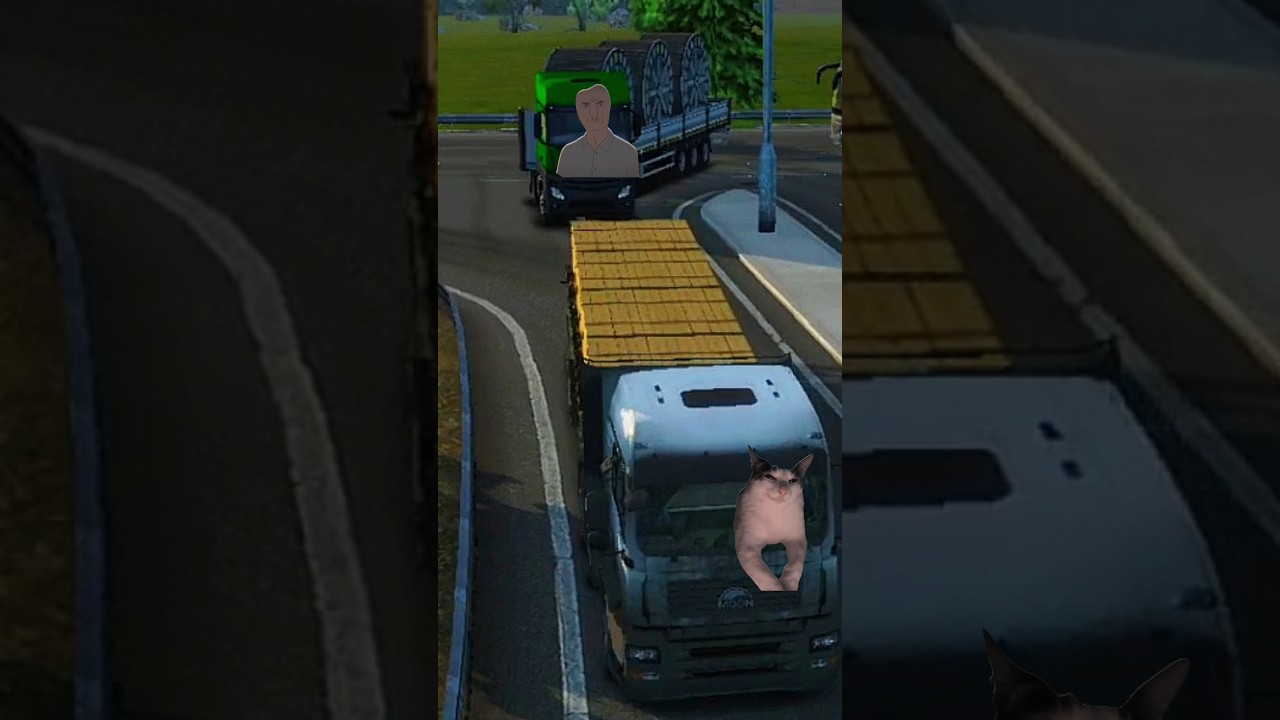 Wrong Overtaking 😂 
