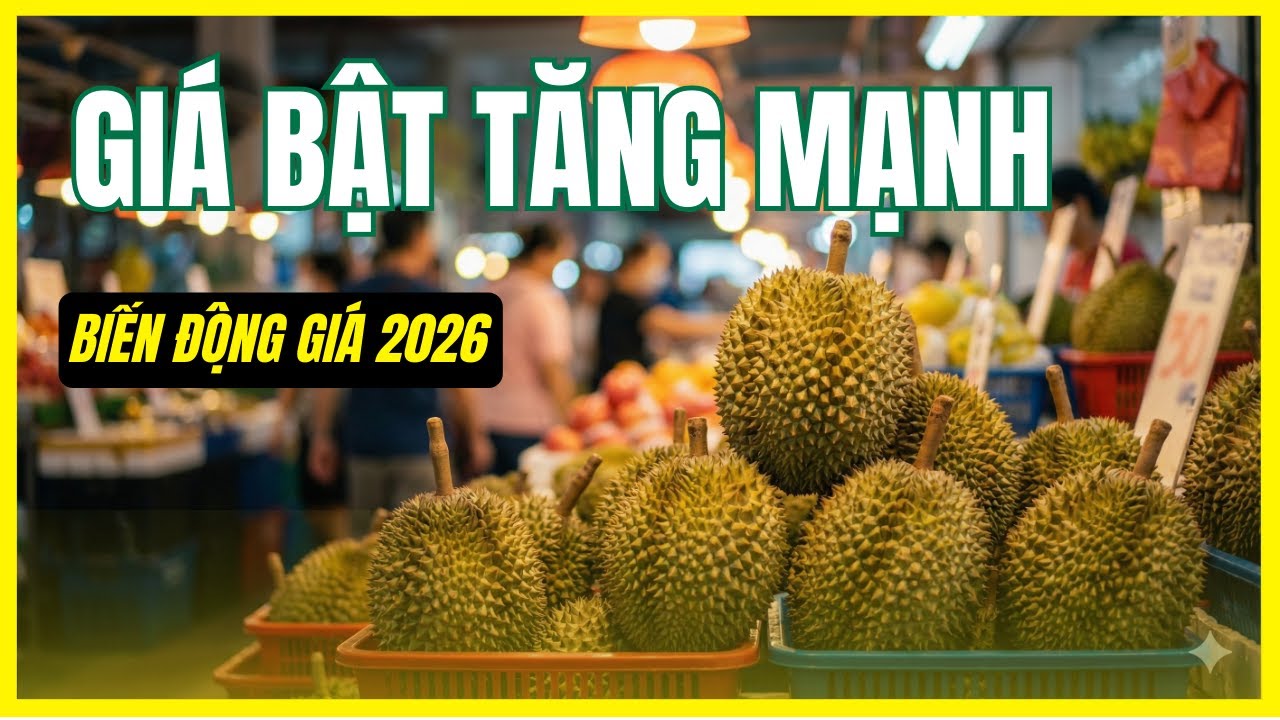 Biến Động Đầu Năm 2026, Giá Sầu Riêng Sẽ Ra Sao? #saurieng #tintuc