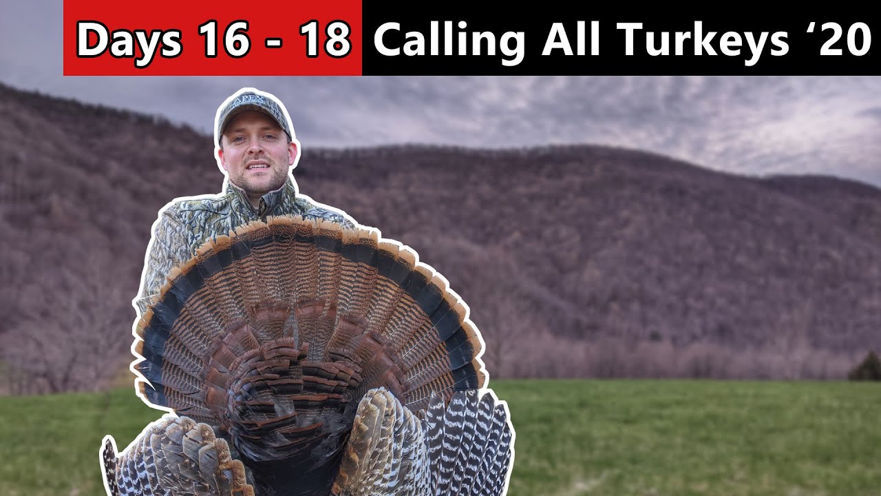 Virginia Mountain Gobblers - Turkey Hunting Public Land
