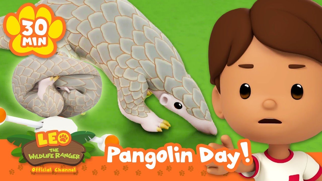 This Animal Can Roll into a Ball?! | World PANGOLIN Day | Leo the Wildlife Ranger | Full Episode