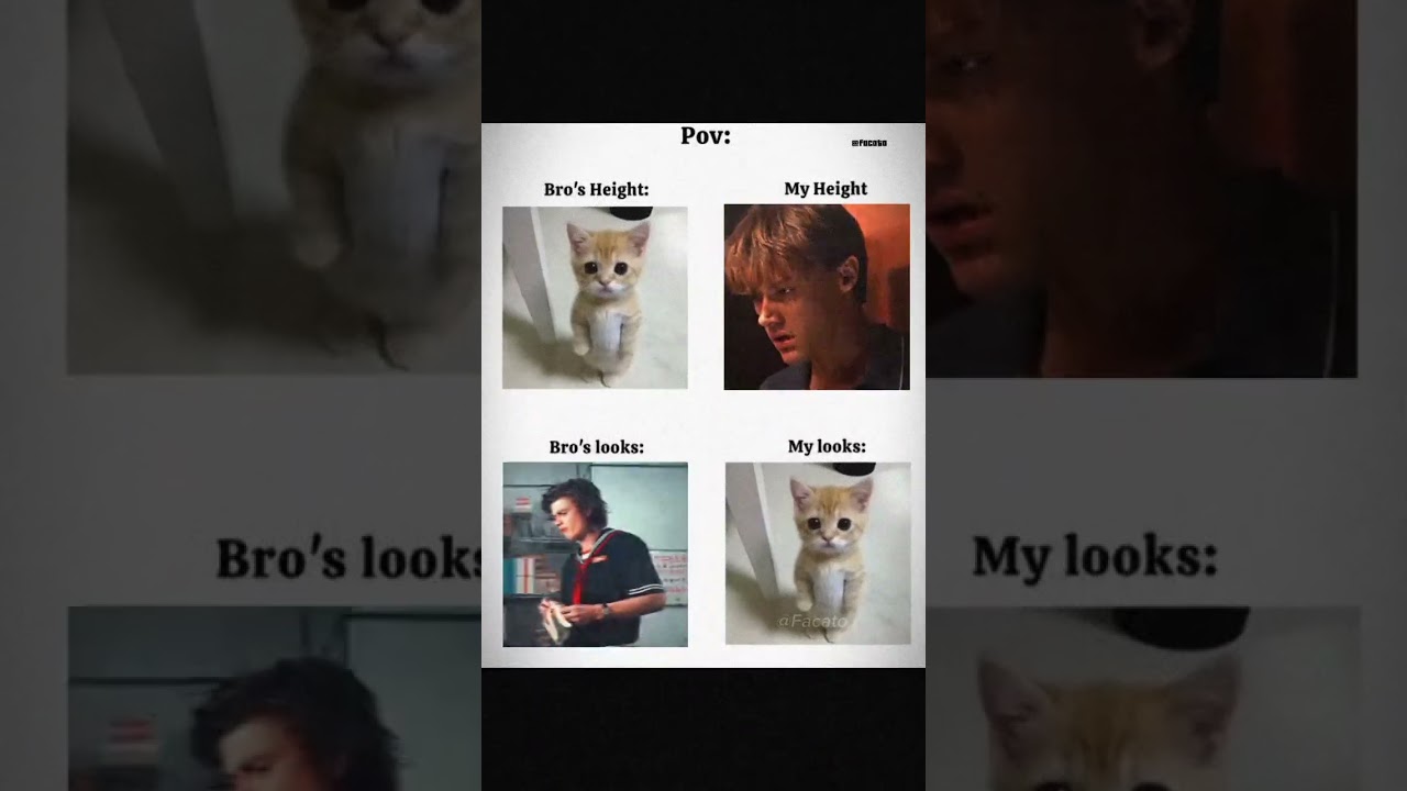 pov:- bro in looks 🧏🏻✨ \zaynmalikedits\ 